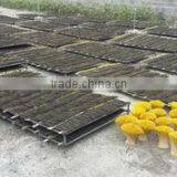 Viet Khoi Import Export Company Limited company overview - view 2 thumbnail