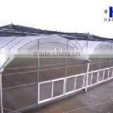 Plastic Film Greenhouse Polyethylene Film Multi Span Agriculture Greenhouse thumbnail-4