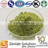 Moringa Oleifera Leaf Extract Powder thumbnail-4