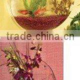 Wall Hanging Acrylic Fish Tank thumbnail-1