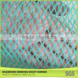 Chinese Credible Supplier Net Anti Bird Netting thumbnail-2