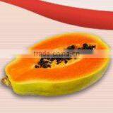 Aseptic Papaya Puree thumbnail-1