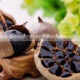 Black Garlic thumbnail-1
