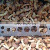 Frozen Nameko thumbnail-4