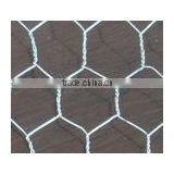 Galvanized Wire Mesh