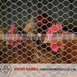 High Quality Hexagonal Chicken Wire Mesh ( Anping Supplier )