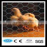 Competitive and Reliable 3/4 Galvanized Chicken Wire Netting thumbnail-1