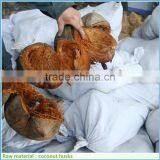 High Performance Palm Fibre Extracting Machine 75KW From China With Stable Delivery Time thumbnail-3