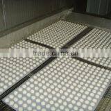 Food Tunnel Freezer thumbnail-3