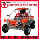 RENLI 4x4 250cc Racing go Kart thumbnail-1