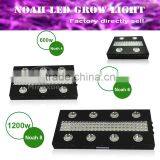 600W Led Panel Led Grow Light Full Spectrum thumbnail-1