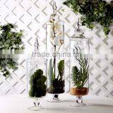 Tall Wedding Table Centerpieces European Goblet Shaped Terarium Glass Jars With Lid thumbnail-2