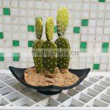 Creative Home Decoration Babylon Plastic Flower Pot thumbnail-1