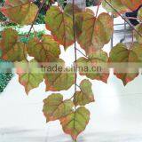 CHY0701003 Decorative Autumn Virginia Creeper Branches Leaf/Boston Ivy Hanging Leaf thumbnail-3