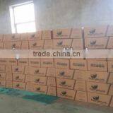 1000L Wet Floral Foam Reactor & Floral Foam Automatic Production Line thumbnail-6