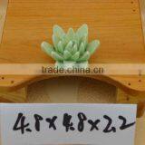 Hand Painted Making Ceramic Flowers for Valentine's Day & Wedding thumbnail-1