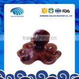 Iqf Frozen Baby Octopus Yummy Taste From Better Seller thumbnail-1