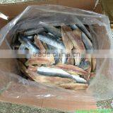 Frozen Fresh Herring Fillet thumbnail-1