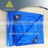 Tarp Blue Tarp pe Tarp Tarpaulin Plastic Cover Waterproof Cover Outdoor Cover thumbnail-1