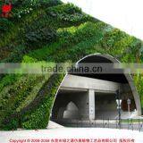 Outdoor Green Wall Long Lasting Green Facades Artificial Green Wall thumbnail-1