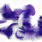 Wholesale Multicolor Decotation Goose Feather for Party and Wedding,5-8cm Import From China thumbnail-5