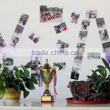 Guangzhou Yi Ai Trading Co., Ltd. company overview - view 3 thumbnail