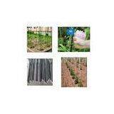 Pultrusion Fiberglass Plastic GRP Nursery Stakes , FRP Tree Stakes / Garden Stakes