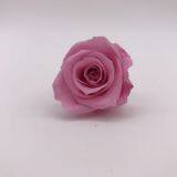 Wholesale3-4cm Elegant Real Touch Preserved Rose Flower thumbnail-2