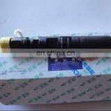 EJBR05301D Common Rail Injector for Yuchai Engine