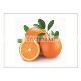 Hot Sale Personalized Tempered Glass Cutting Sublimation Boards thumbnail-1