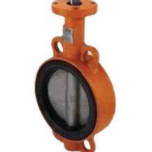 Butterfly Valve