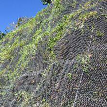 Double Twist Hexagonal Mesh Rockfall Netting Drapery System for for Rockfall Mitigation Slope Consolidation Works thumbnail-3