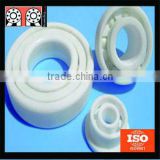 Super Speed Long Life Frictionless Plastic Bearing