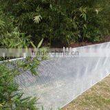 Square Mesh