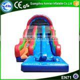 Hot in Summer Funny Giant Inflatable Pool Slide for Adult Supplier's Choice thumbnail-3