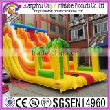 Colourful Design Inflatable Dry Slide With Trees thumbnail-2