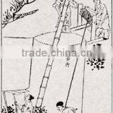 Steam Coal thumbnail-1