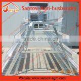 Hot Sale Cages for Broiler Chicken Quail thumbnail-1