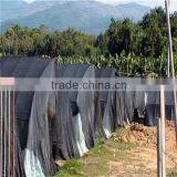 Green House Agriculture Hdpe Plastic Woven Sun Shade Nets Supplier's Choice