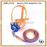 Colorful Pet Collar and Leash Nylon Pet Products New Design Pet Collar, Sell Well Dog Leash thumbnail-6