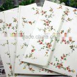2014 Hot New Nice Cardboard Envelopes Made in China