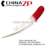 ZPDECOR Selected Prime Quality Cheap Bulk Colored Red Half Dipped Bicolourable Turkey Feathers for Fashion Decorations