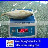 Deep Frozen Croceine Big Yellow Croaker thumbnail-1