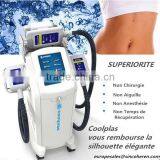 2017 New Cellulite Freezing Slimming Machine for Salon thumbnail-2