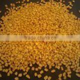 FENUGREEK SEEDS thumbnail-6