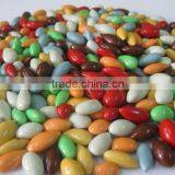 Korean Food HACCP Certification Top Quality Chocolate Coated Sunflower Seeds thumbnail-3