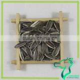 Roasted Iran Sunflower Seeds thumbnail-3