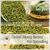 Export Various Green Mung Beans Specification ,grade a Green Mung Bean Sprout thumbnail-6