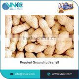 Best Selling Long Shell Cleaned Groundnut at Factory Price
