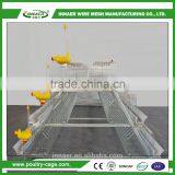 Hot Sale for China Egg Chicken Cage(ISO9001) for Poultry Farming thumbnail-5